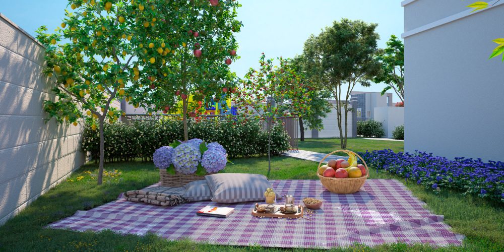 20220131034408_FONTANA-DI-TERNI_PE_POMAR_2021_12_29