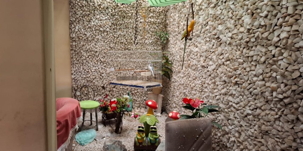 bb55d409-a040-4949-93ee-e942a93d727e