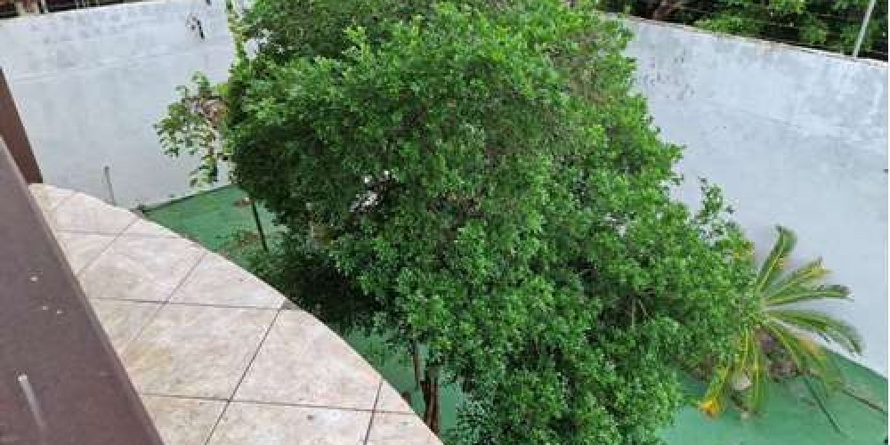 vendo Cassa bairro Sapiranga 16